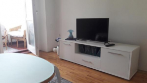 Apartment Bjanka